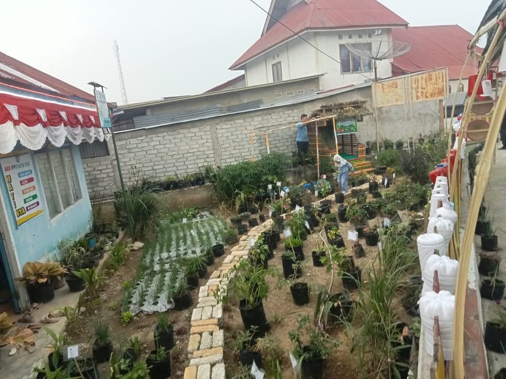 Pemandangan luas Taman PKK Dasa Wisma Kecubung di Dusun Baru, Desa Lubuk Suli, tertata rapi dengan jalur batu pijakan dan beragam tanaman TOGA, sayuran, serta tanaman hias, Kabupaten Kerinci