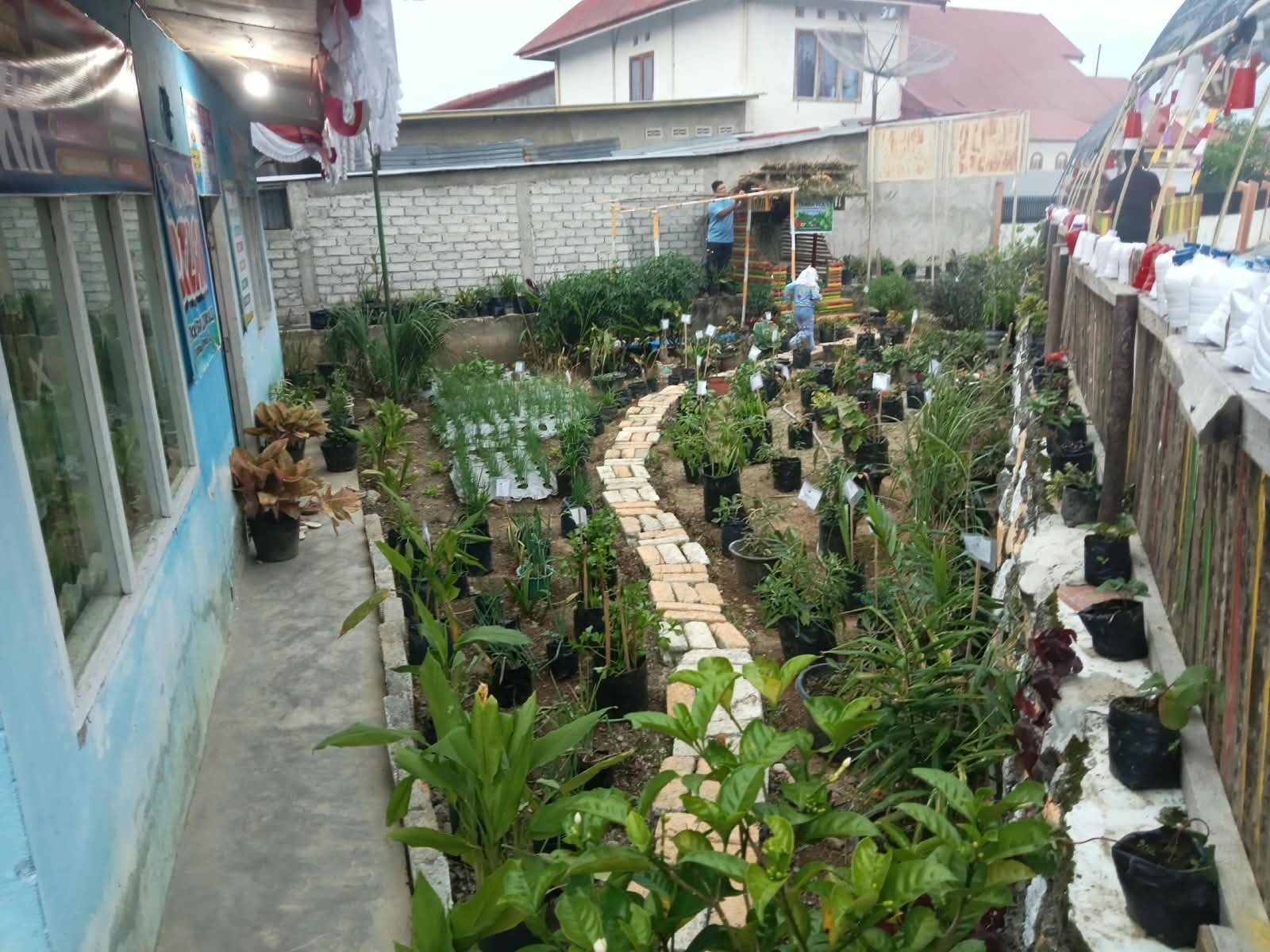 Pemandangan Taman PKK Dasa Wisma Kecubung di Dusun Baru, Desa Lubuk Suli, berisi tanaman obat keluarga, tanaman hias, dan sayuran yang ditata rapi, Kabupaten Kerinci